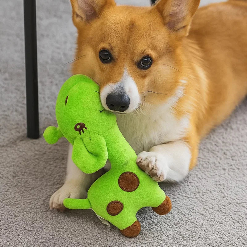A pet plush sound toy for dogs to chew and clean their teeth, a throwing toy for cats to relieve boredom, and a funny toy in the